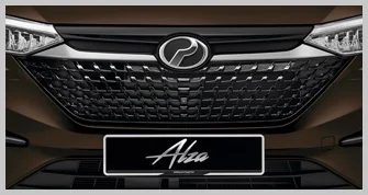 alza back grille